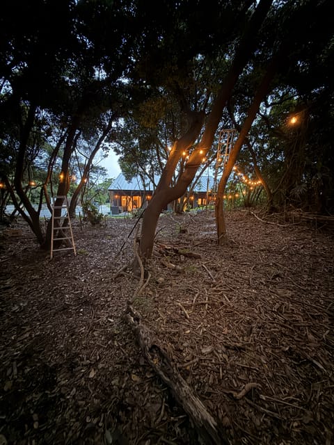 夕暮れの森とイルミネーション